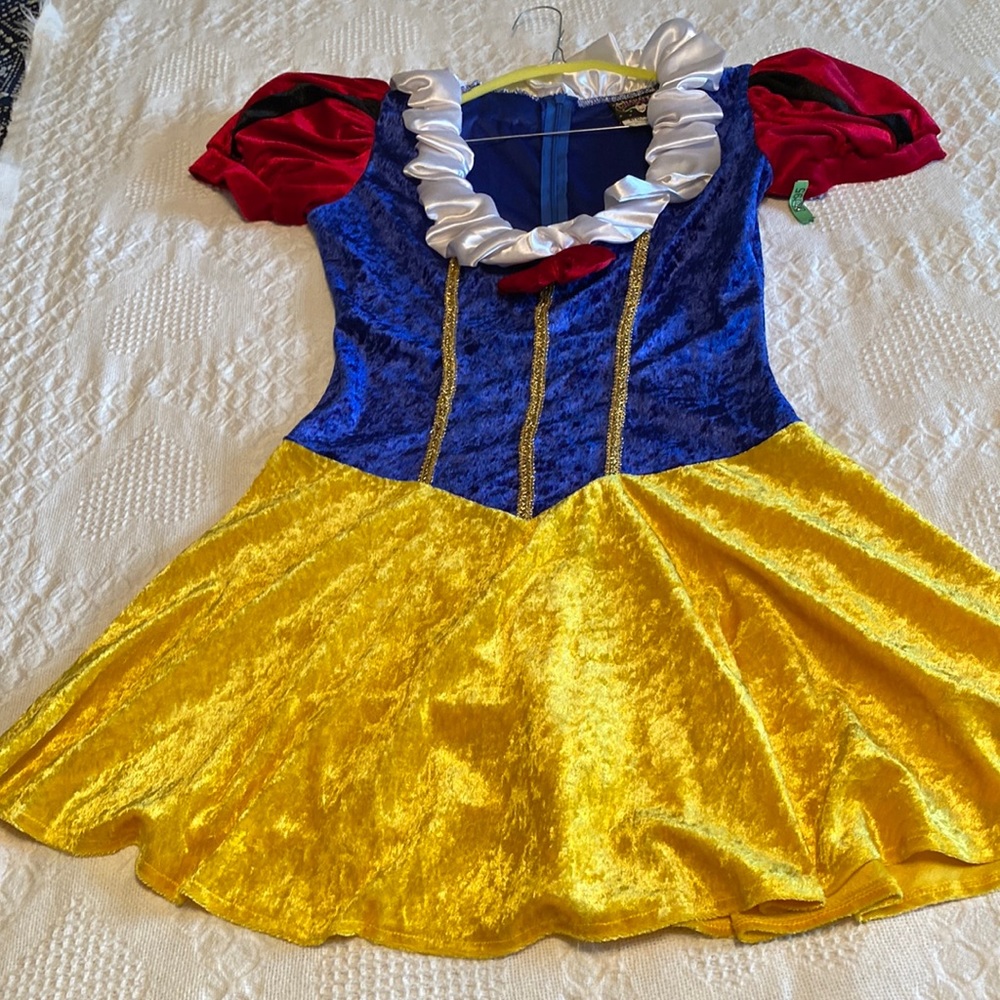 COPY - Sexy Snow White costume, adult M - fits more like Small.